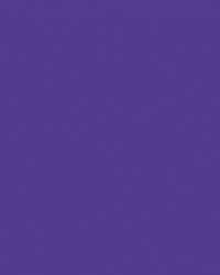 folia® |  Coloured Photo Card packs — 300 gsm, 50 cm x 70cm, dark violet