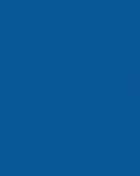 folia® |  Coloured Photo Card packs — 300 gsm, 50 cm x 70cm, royal blue