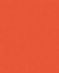 folia® |  Coloured Photo Card packs — 300 gsm, 50 cm x 70cm, orange