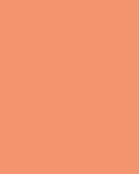 folia® |  Coloured Photo Card packs — 300 gsm, 50 cm x 70cm, salmon