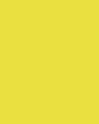 folia® |  Coloured Photo Card packs — 300 gsm, 50 cm x 70cm, lemon