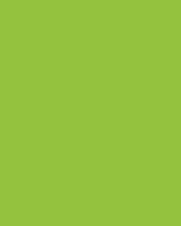 folia® |  Coloured Photo Card packs — 300 gsm, 50 cm x 70cm, May green