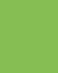 folia® |  Coloured Photo Card packs — 300 gsm, 50 cm x 70cm, light green