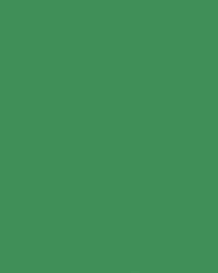 folia® |  Coloured Photo Card packs — 300 gsm, 50 cm x 70cm, moss green