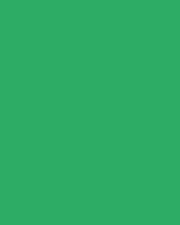 folia® |  Coloured Photo Card packs — 300 gsm, 50 cm x 70cm, emerald green