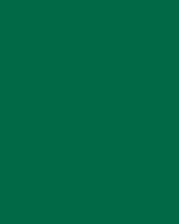 folia® |  Coloured Photo Card packs — 300 gsm, 50 cm x 70cm, fir green