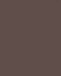 folia® |  Coloured Photo Card packs — 300 gsm, 50 cm x 70cm, dark brown