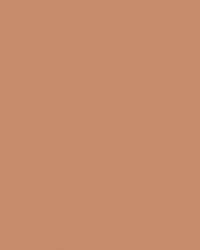 folia® |  Coloured Photo Card packs — 300 gsm, 50 cm x 70cm, light brown