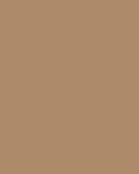 folia® |  Coloured Photo Card packs — 300 gsm, 50 cm x 70cm, fawn
