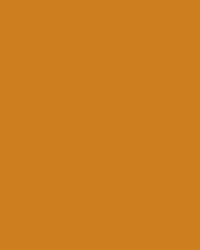 folia® |  Coloured Photo Card packs — 300 gsm, 50 cm x 70cm, terracotta