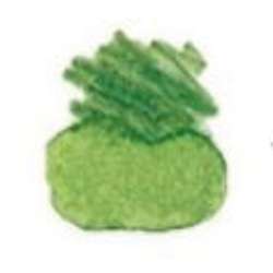 STAEDTLER® | Mars® Lumograph® Watercolour pencils — individual, Chromeoxide green