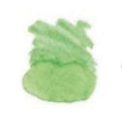 STAEDTLER® | Mars® Lumograph® Watercolour pencils — individual, Leaf green