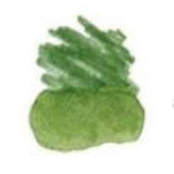 STAEDTLER® | Mars® Lumograph® Watercolour pencils — individual, Pearl green
