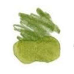 STAEDTLER® | Mars® Lumograph® Watercolour pencils — individual, Olive green