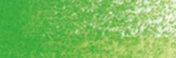 HOLBEIN | HWCP ARTISTS' WATERCOLOR PENCILS — individual, Permanent green n° 1