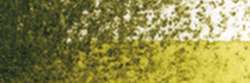 HOLBEIN | HWCP ARTISTS' WATERCOLOR PENCILS — individual, Olive green