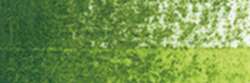 HOLBEIN | HWCP ARTISTS' WATERCOLOR PENCILS — individual, Sap green
