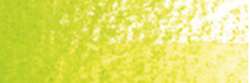 HOLBEIN | HWCP ARTISTS' WATERCOLOR PENCILS — individual, Leaf green