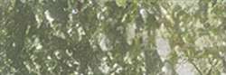 HOLBEIN | ARTISTS' COLORED PENCIL — individual, Olive green