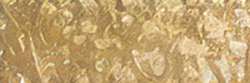 HOLBEIN | ARTISTS' COLORED PENCIL — individual, Olive brown
