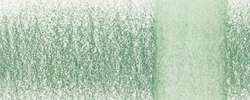DERWENT | CHROMAQUA Watercolour Pencil — individual, Cactus 1530