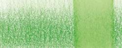 DERWENT | CHROMAQUA Watercolour Pencil — individual, Jungle green 1740