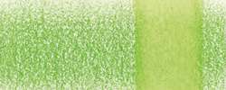 DERWENT | CHROMAQUA Watercolour Pencil — individual, Grass green 1800