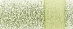 DERWENT | CHROMAQUA Watercolour Pencil — individual, Olivine 1801