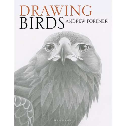 Drawing Birds 
