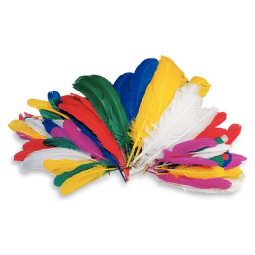 Coloured Goose Feathers 