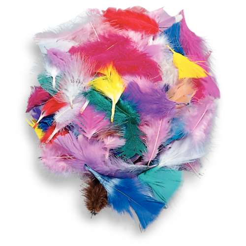 Coloured Natural Feathers 