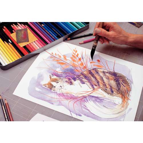 Caran D'Ache Supracolor Watercolour Pencil Box Sets 