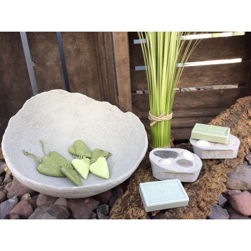 morepic-3