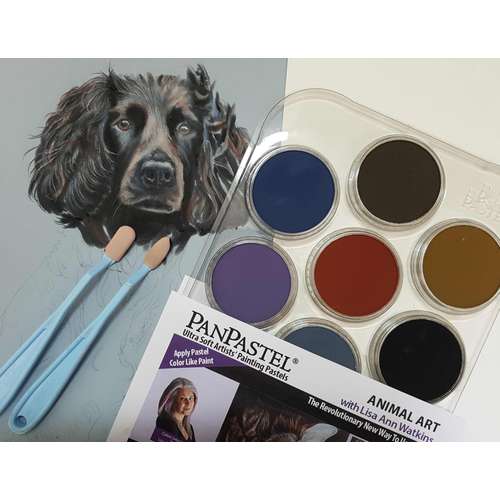 PanPastel : Animal Art With Lisa Ann Watkins : Set of 10 Colours