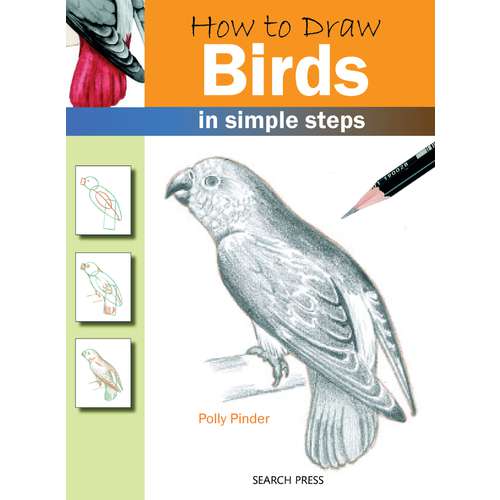 How to Draw: Birds by Polly Pinder 