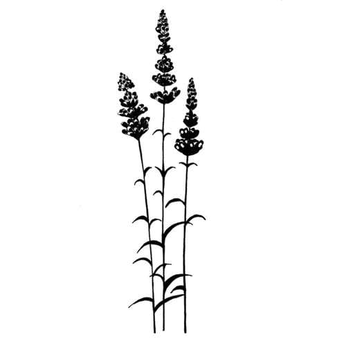 Lavinia Stamps | Lavender — 6.5 cm x 2 cm 