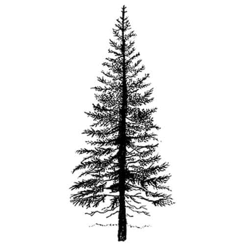 Lavinia Stamps | Fir Tree 1 — 7 cm x 3 cm 