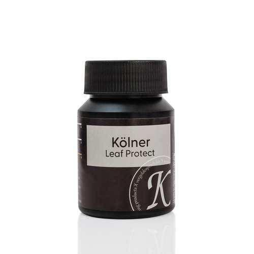 Kölner | Leaf Protect Interior Varnish — 50 ml bottle 